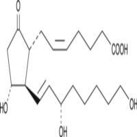 20-hydroxy Prostaglandin E2