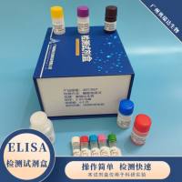 维生素D3(VD3)酶联免疫吸附测定试剂盒