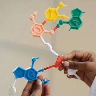 多肽合成常见问题（一）