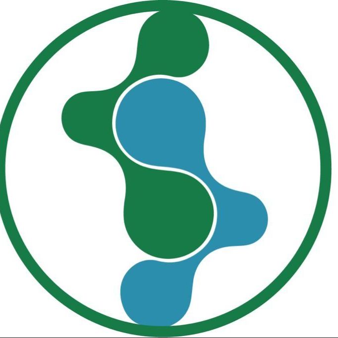 大鼠肝窦内皮细胞系、永生化大鼠肝窦内皮细胞