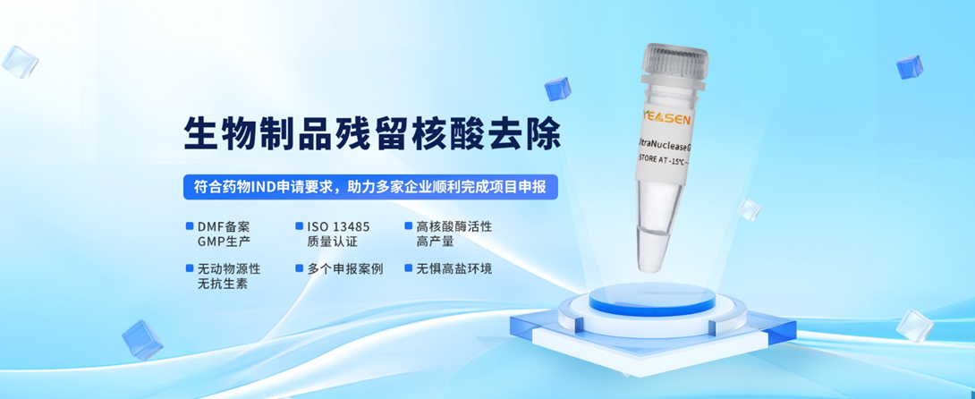 干货分享 | 深入探索全能核酸酶在生物制药及基础科研中的应用