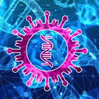 RNA pull down常见问题与解答