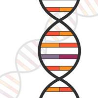 iTRAQ定量蛋白质组学常见问题解答