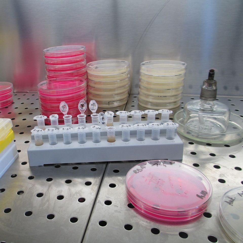 蛋白质组全谱分析常见问题解答