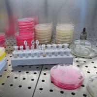 蛋白质组全谱分析常见问题解答