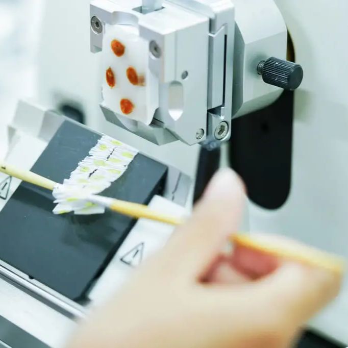 Tunel法检测细胞凋亡