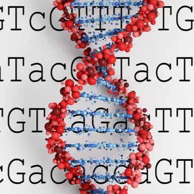 RACE实验常见问题解答