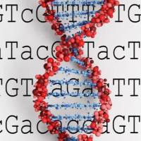 RACE实验常见问题解答