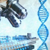 转录组常见问题解答