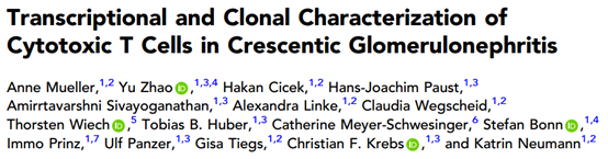 单细胞测序揭示肾脏疾病中的细胞战争