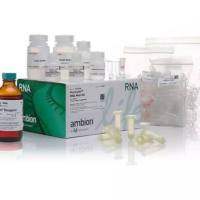 Sf-900™ II SFM，10902088-1000mL