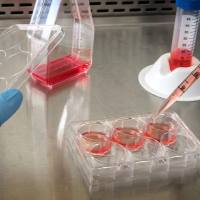 蛋白质组学常见问题解答