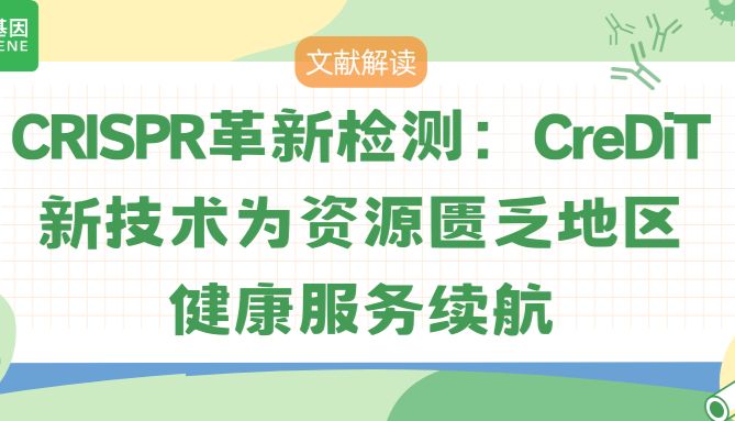 CRISPR技术革新：CreDiT为资源匮乏地区带来健康检测新希望