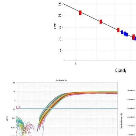 Real-Time PCR 服务
