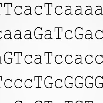 相对定量与绝对定量的选择