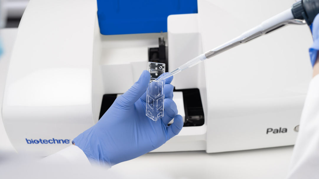 揭秘：如何用单细胞分选技术构建GFP细胞株