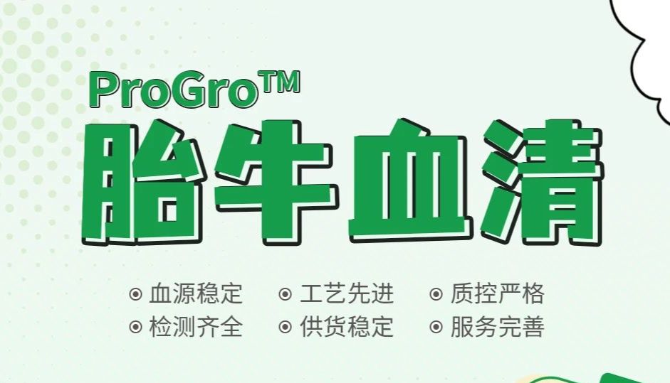 新品上线 | 胎牛血清选得好，细胞培养没烦恼！