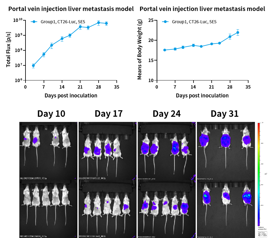 常用小鼠转移瘤模型，帮你整理好了！