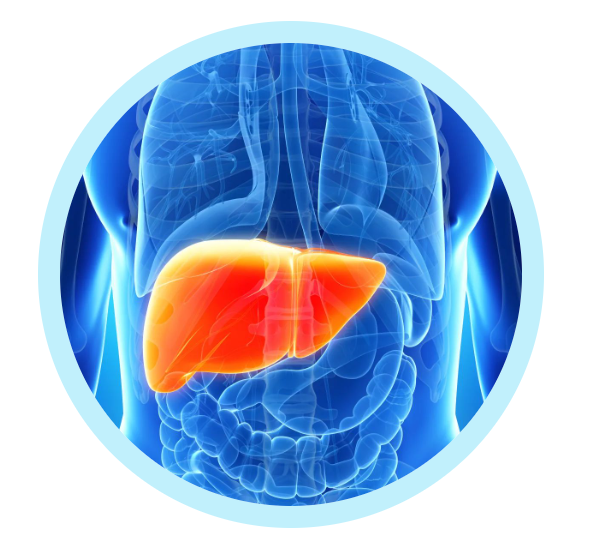 深度解析，MASH常用小鼠模型汇总