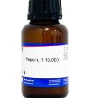 胃蛋白酶(猪源)