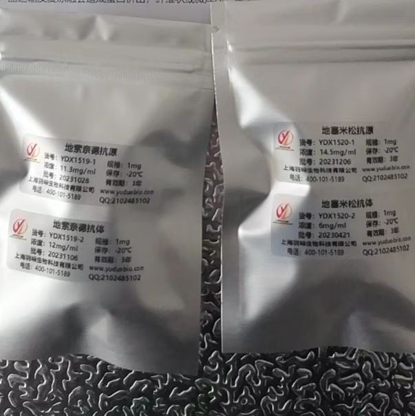 重组全段甲状旁腺激素（iPTH antigen）抗原