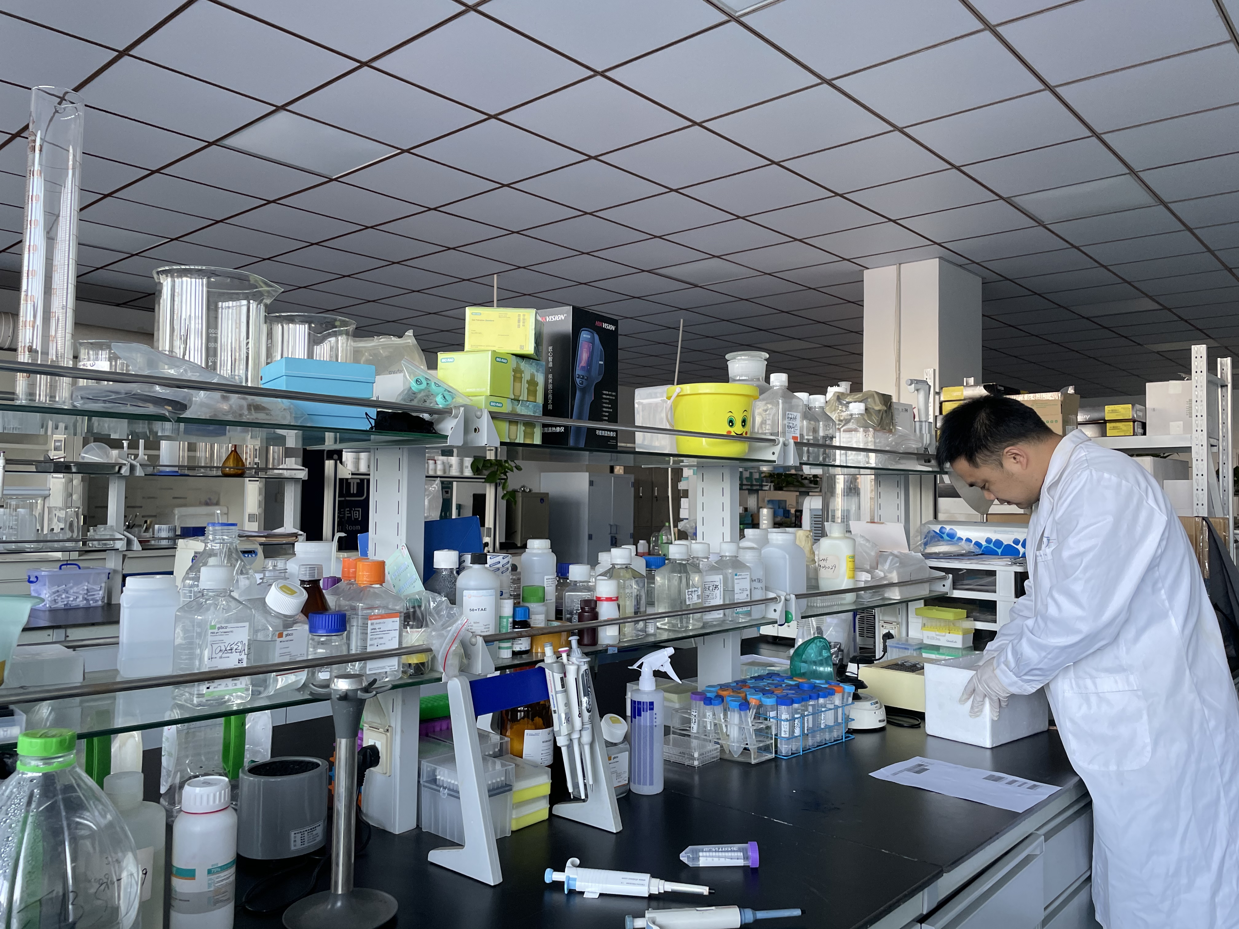 兔β肌动蛋白(β-actin)酶联免疫试剂盒 