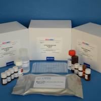 菠菜凝集素(PHA)ELISA试剂盒