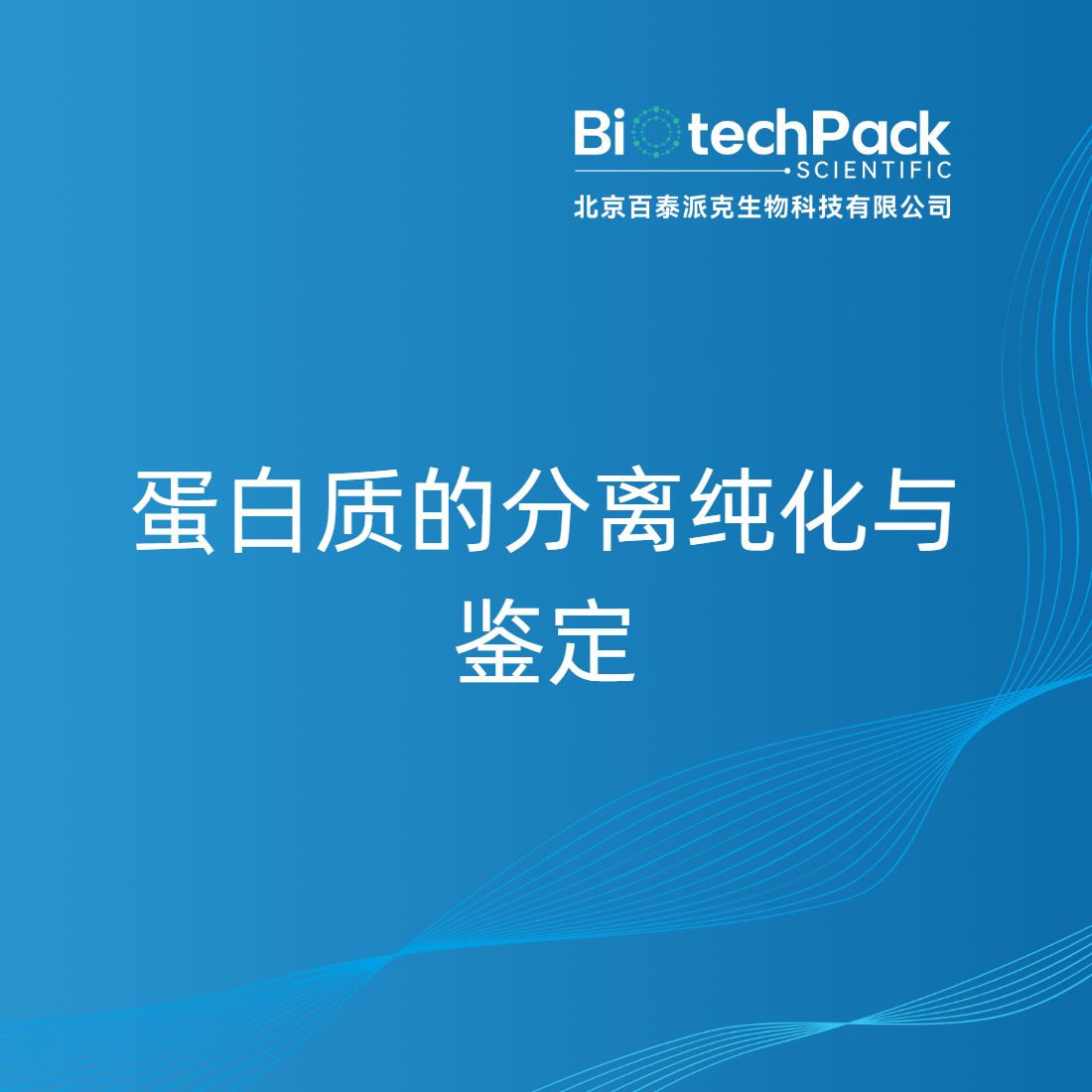 蛋白质的分离纯化与鉴定