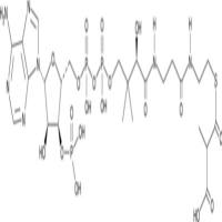 Methylmalonyl-Coenzyme A (sodium salt)