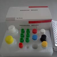 菠菜蔗糖磷酸合酶(SPS)ELISA试剂盒