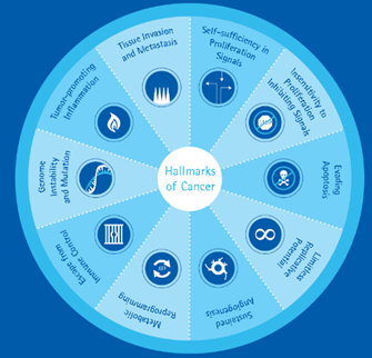 升级你的抗体，体验新一代ZooMab重组抗体
