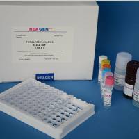 牛血管内皮生长因子受体3(VEGFR3)ELISA检测试剂盒