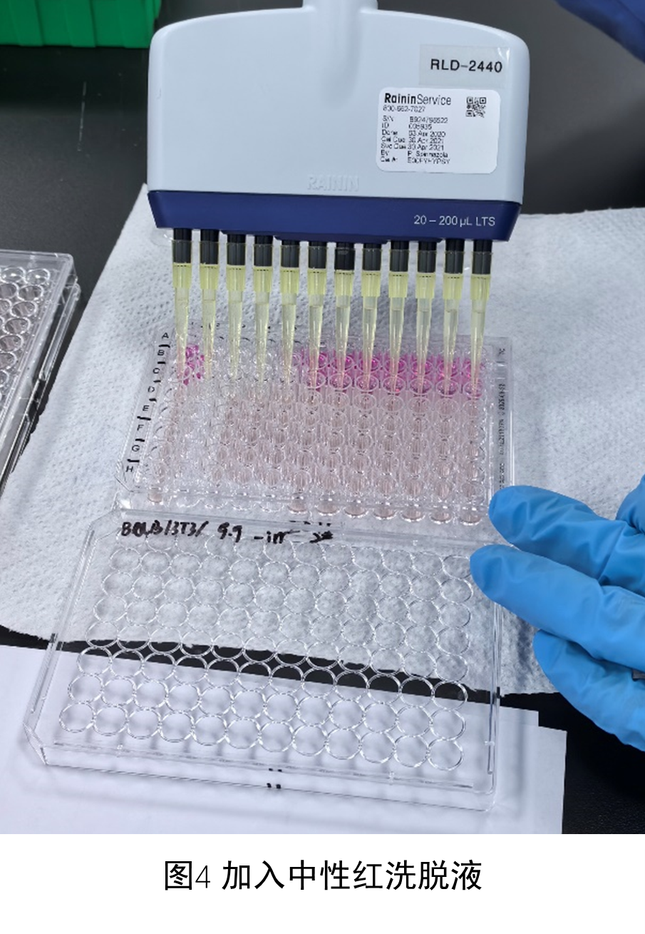 3T3 细胞光毒性中性红摄取试验 (3T3 Neutral Red Uptake (NRU) Phototoxicity assay, 3T3 NRU Assay)