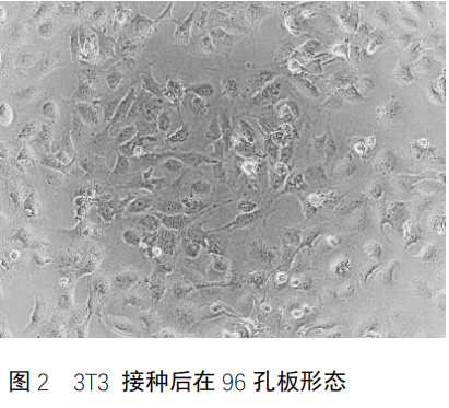 3T3 细胞光毒性中性红摄取试验 (3T3 Neutral Red Uptake (NRU) Phototoxicity assay, 3T3 NRU Assay)