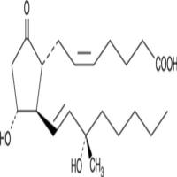 15(S)-15-methyl Prostaglandin E2