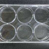 定制  生物材料表面PEG功能化涂层修饰