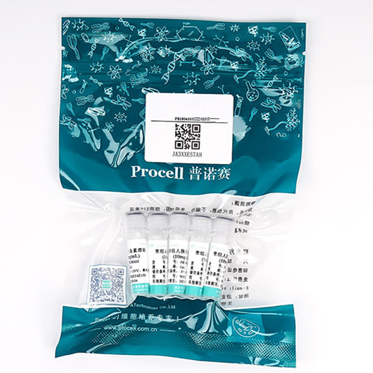 IL-18/ IL-1F4 (C-6His), Human, Recombinant