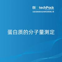 蛋白质的分子量测定-百泰派克生物科技