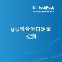 gfp融合蛋白定量检测