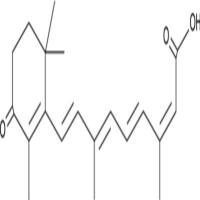 4-oxo Isotretinoin