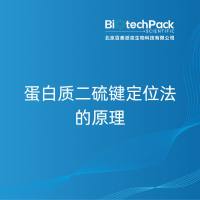 蛋白质二硫键定位法的原理