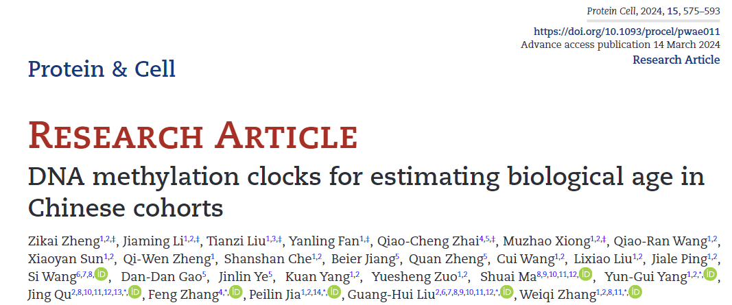 Protein &amp; Cell （IF=21） | 中科院张维绮/刘光慧/贾佩林等课题组建立中国队列的DNA甲基化表观衰老时钟