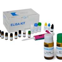 牛白介素12A(IL12A)ELISA检测试剂盒