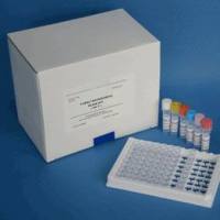牛双调蛋白(AR)ELISA检测试剂盒
