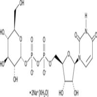 UDP-α-D-Glucose (sodium salt hydrate)