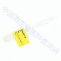 枯草芽孢杆菌枯草亚种	 