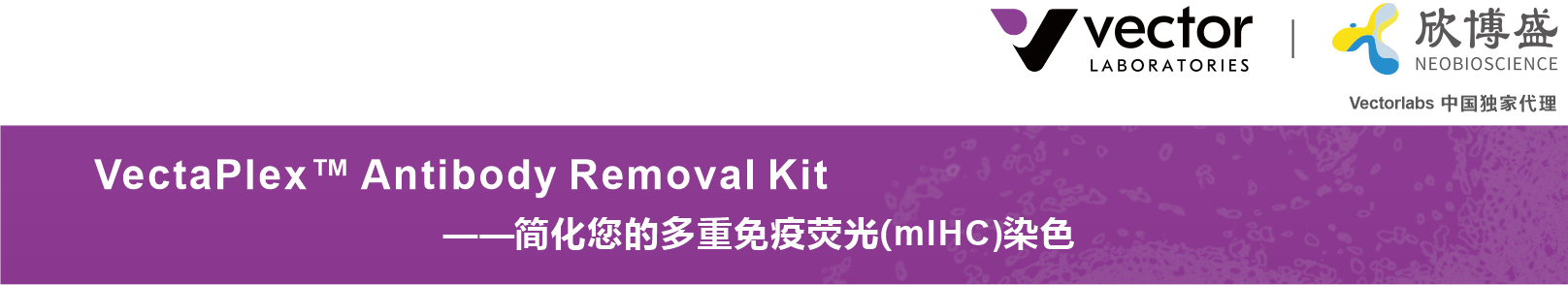 VectaPlex™ Antibody Removal Kit  ——简化您的多重免疫荧光(mIHC)染色