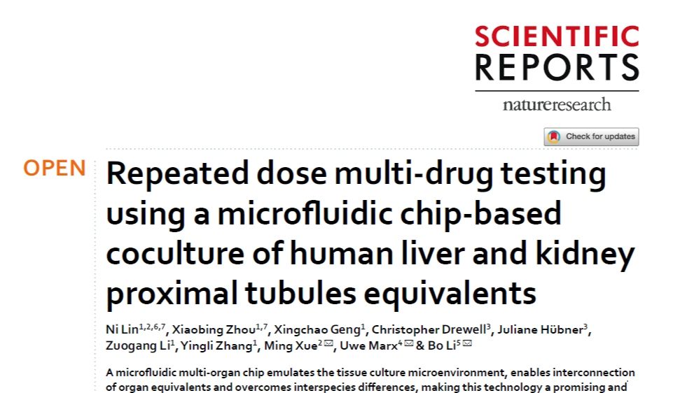 基于微流控芯片的肝-肾类器官串联共培养进行药物测试