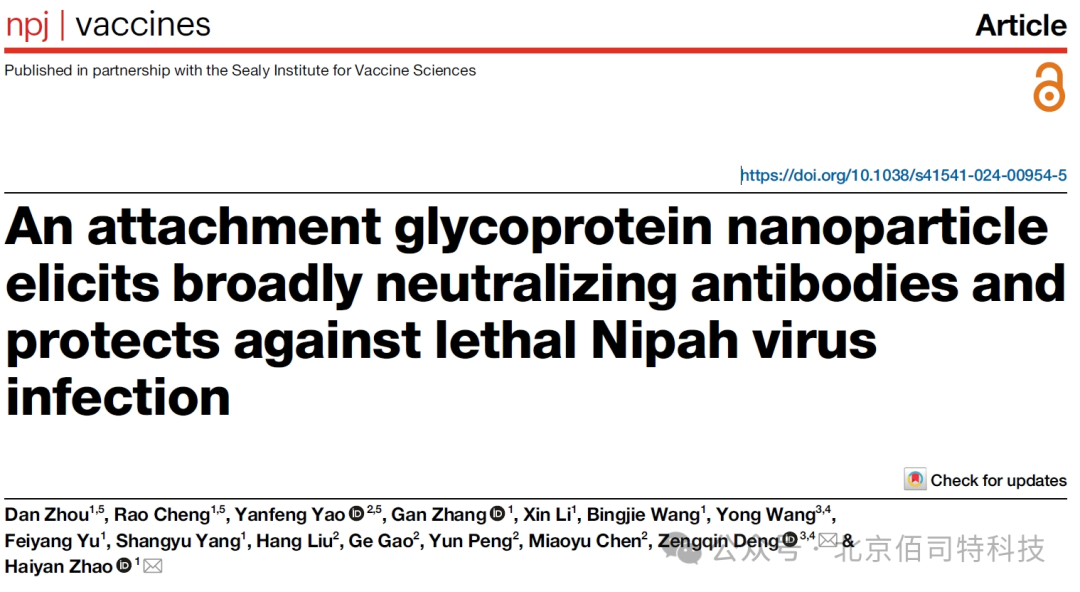 科学家开发出新型高致病性尼帕病毒纳米颗粒疫苗
