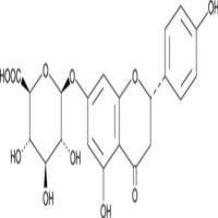 Naringenin-7-O-β-D-Glucuronide